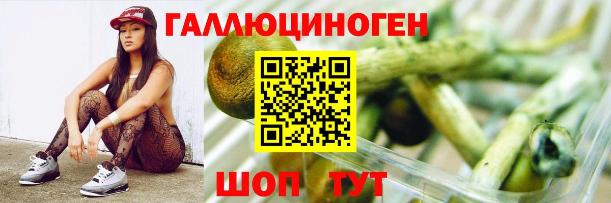 Будённовск  Псилоцибиновые грибы Magic Shrooms  Вход с VPN 