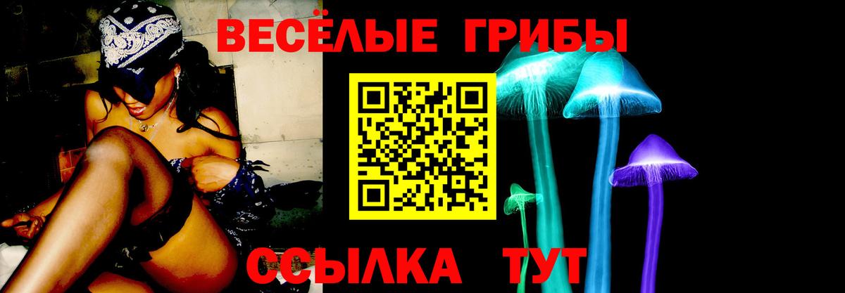 Псилоцибиновые грибы MAGIC MUSHROOMS Будённовск